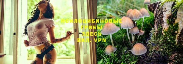 эйфоретик Абдулино